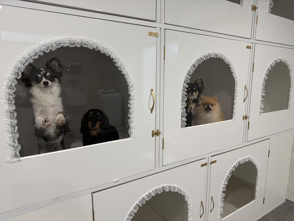 ホテルについて
