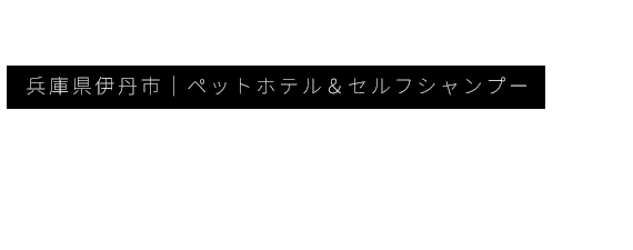 兵庫県尼崎市｜ケージフリーのペットホテル