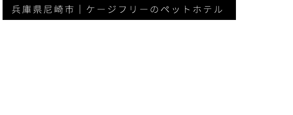 兵庫県尼崎市｜ケージフリーのペットホテル